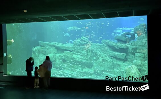 Paris Aquarium Promo Code