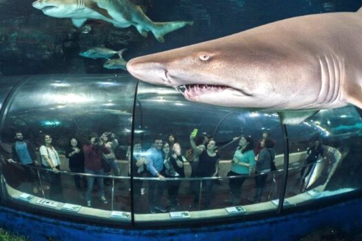 Barcelona Aquarium promo code discount codigo cheap ticket deal