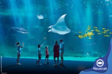 Nausicaa promo code , cheap tickets for the Boulgone sur mer aquarium