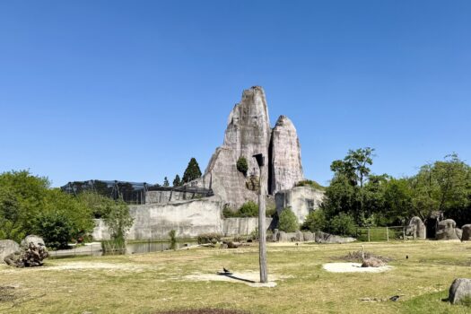 Paris Zoo (Vincennes) promo code