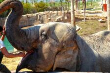 terra natura promo code cupon codigo descuento