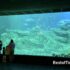 Aquopolis Costa Dorada Promo Code: Water Park Ticket Discount in Salou (Tarragona)