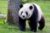 Zoo Aquarium Madrid Promo Code: Discount on the Skip-the-Line Ticket!