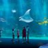 Aqualandia Benidorm Promo Code: Discount Valid on All Tickets