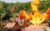Puy du Fou Promo Code: Instant Discount on All 1-to-4-Day Tickets