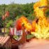Aquashow Promo Code: Discount on Tickets for the Algarve Water Park (Portugal)