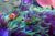 Seville Aquarium Promo Code: Discount for a Cheap Acuario de Sevilla Visit!