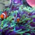 Water World Promo Code: Discount Tickets for Lloret de Mar Water Park